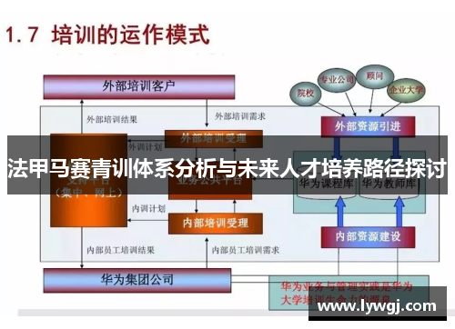 法甲马赛青训体系分析与未来人才培养路径探讨