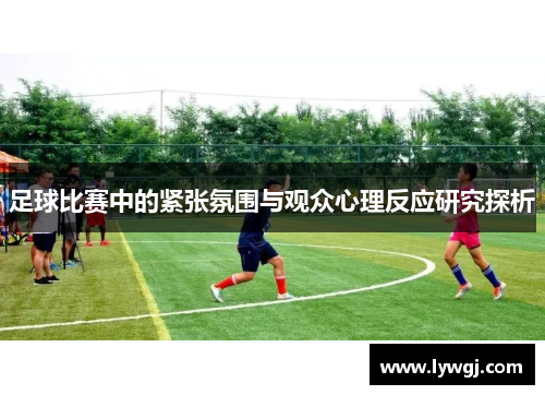 足球比赛中的紧张氛围与观众心理反应研究探析