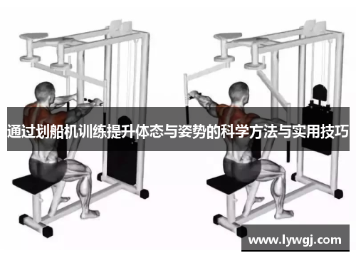 通过划船机训练提升体态与姿势的科学方法与实用技巧