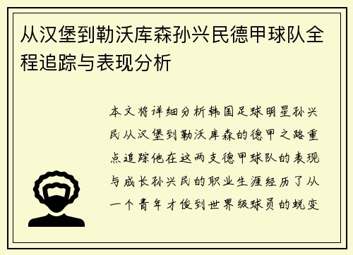 从汉堡到勒沃库森孙兴民德甲球队全程追踪与表现分析