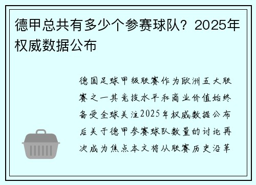 德甲总共有多少个参赛球队？2025年权威数据公布